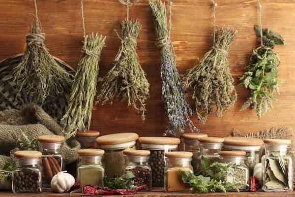 قیمت سبزی